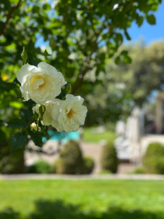 Hautvallon - Peaceful Escape In Provence Bed & Breakfast Gordes
