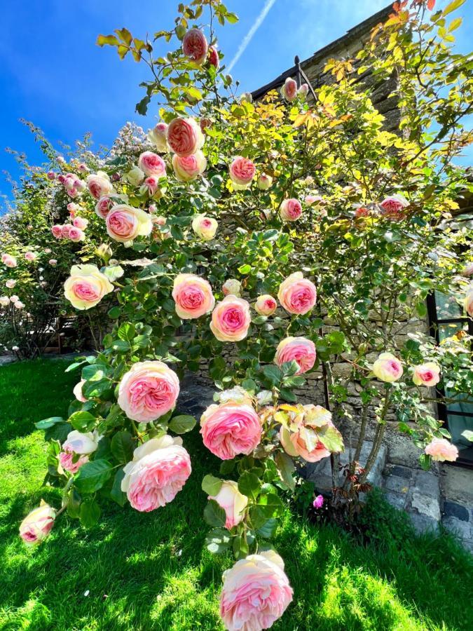 Hautvallon - Peaceful Escape In Provence Bed & Breakfast